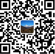 黑龙江草莓视频WWW工具