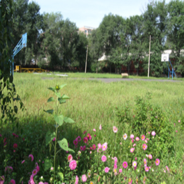 草莓视频香蕉视频